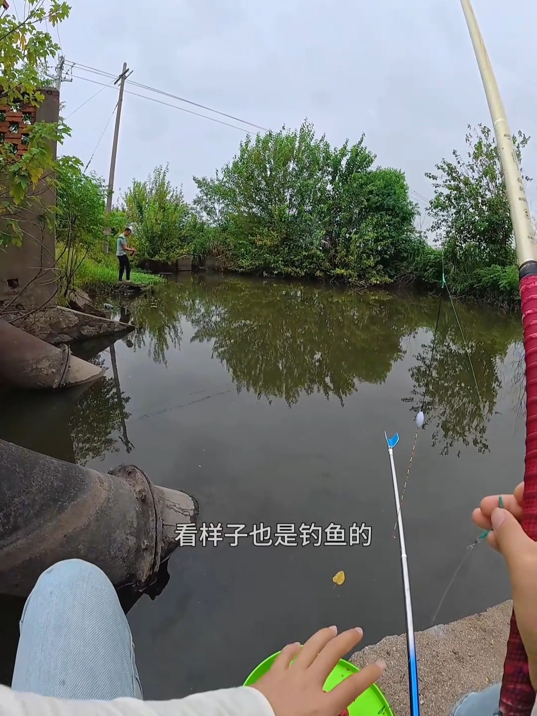 咸淡水闸口钓鱼技巧(咸淡水钓鱼用什么饵料)