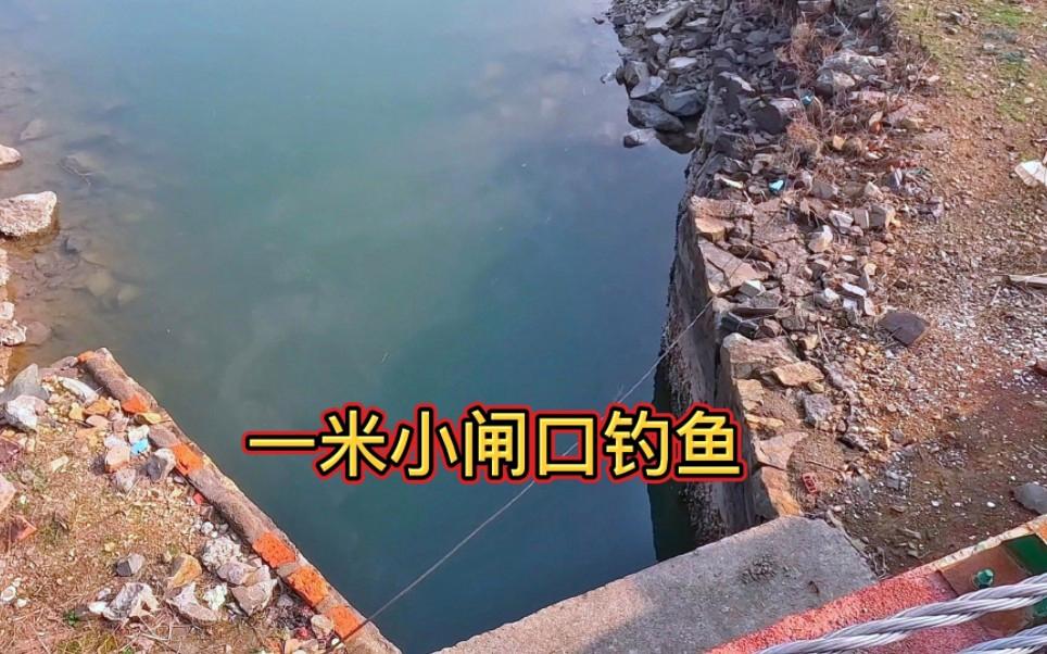 咸淡水闸口钓鱼技巧(咸淡水钓鱼用什么饵料)