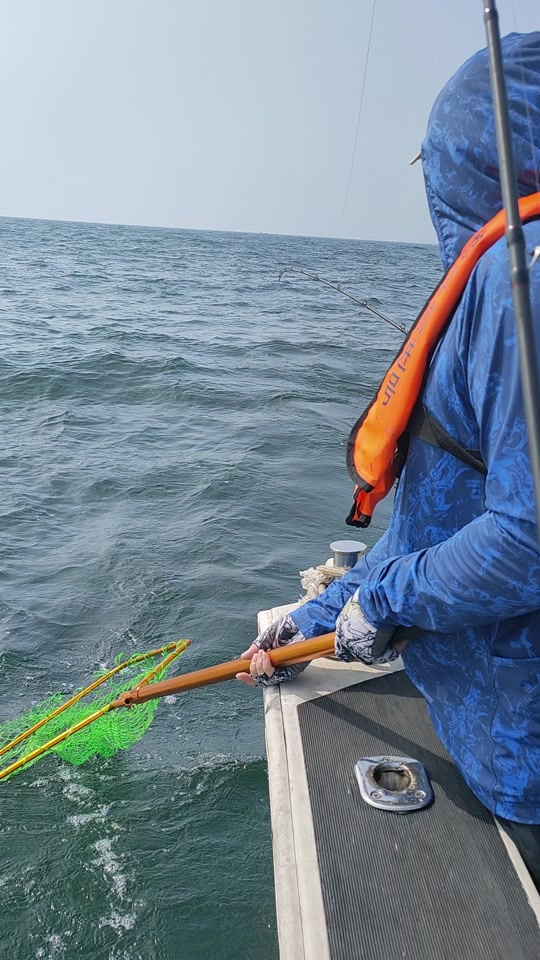 冬天前海钓鱼(冬天海钓在什么位置合适) 冬天前海钓鱼(冬天海钓在什么位置合适)