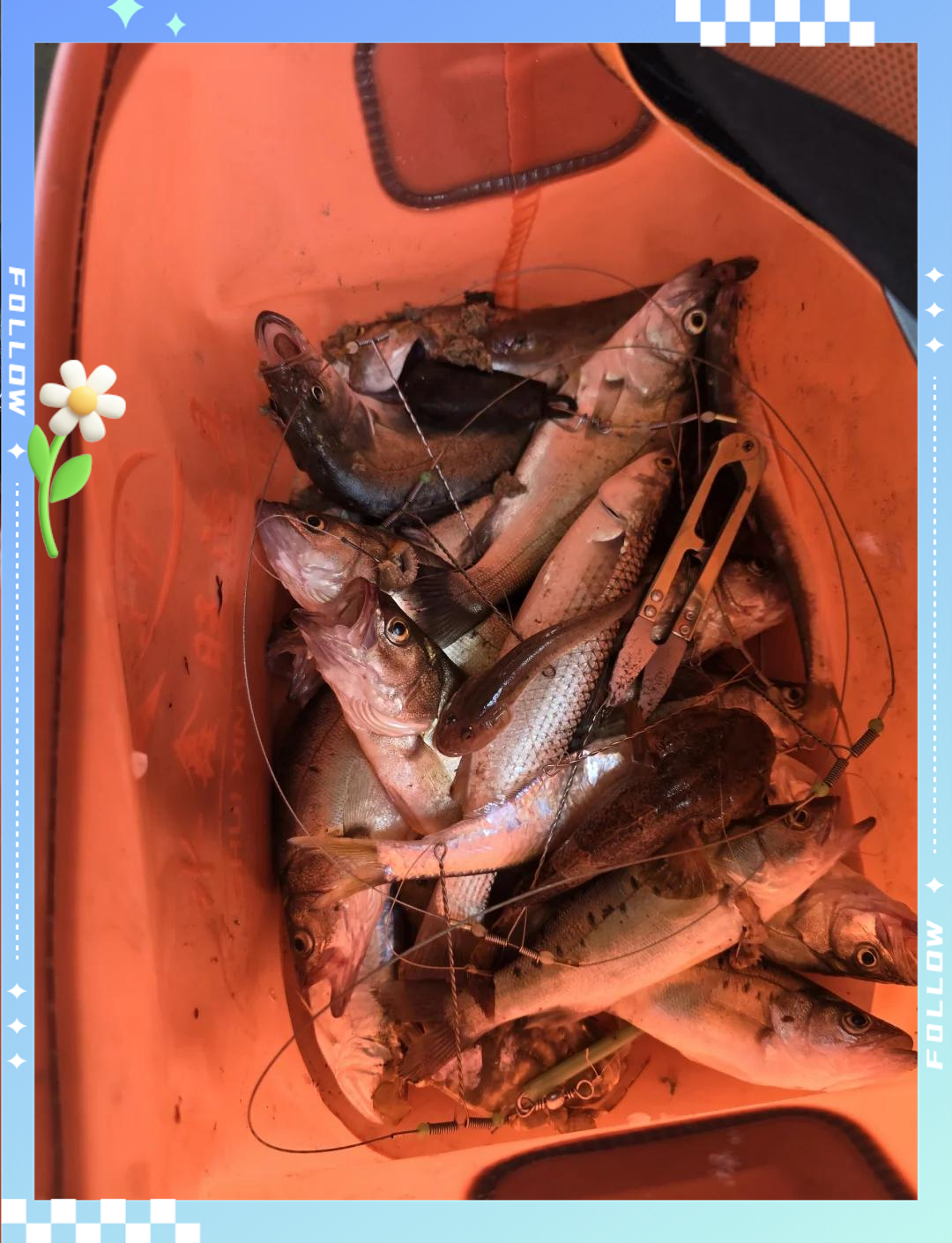 天津哪里海钓(天津哪里可以钓海鱼)