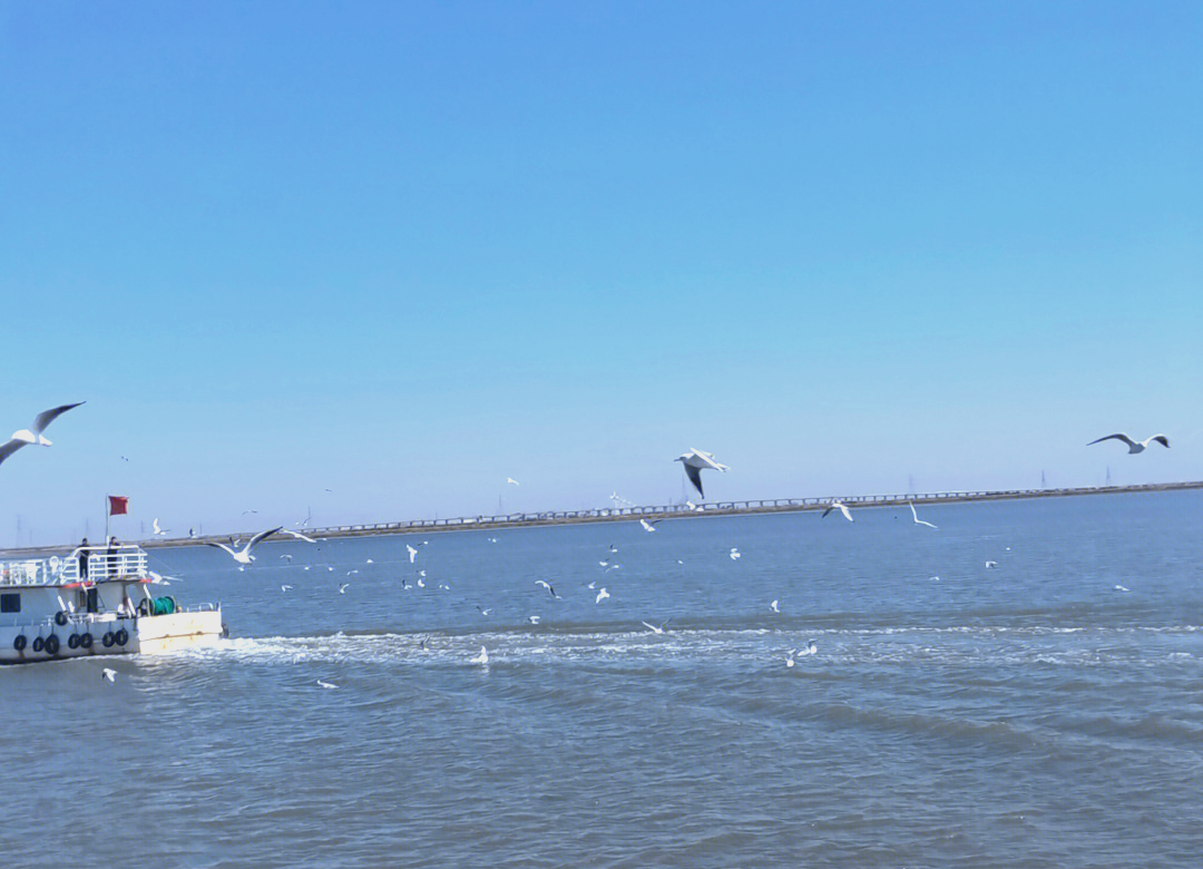 天津哪里海钓(天津哪里可以钓海鱼)