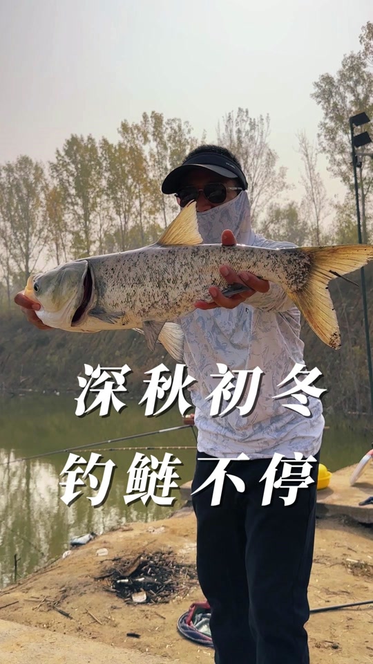 河钓雄鲢技巧初冬(野河钓鲤鱼最佳方法) 河钓雄鲢技巧初冬(野河钓鲤鱼最佳方法)