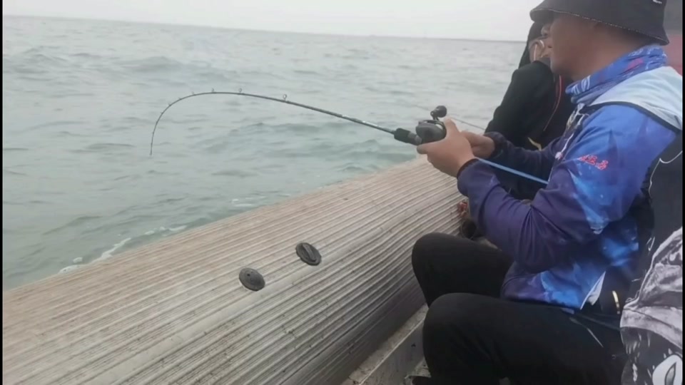 曹妃甸十一加海钓视频(曹妃甸16+钓场怎么收费)