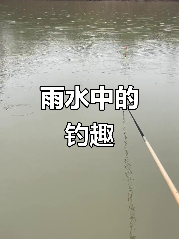春天下雨水库钓鱼技巧(春天下雨钓鱼应该钓深水还是浅水) 春天下雨水库钓鱼技巧(春天下雨钓鱼应该钓深水还是浅水)