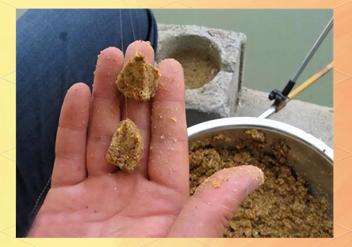 泡麦粒饵的技巧(怎样用麦粒泡酒钓鱼)