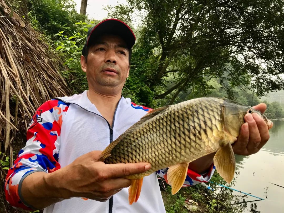 四海钓鱼免费(四海钓鱼野钓视频在线观看)