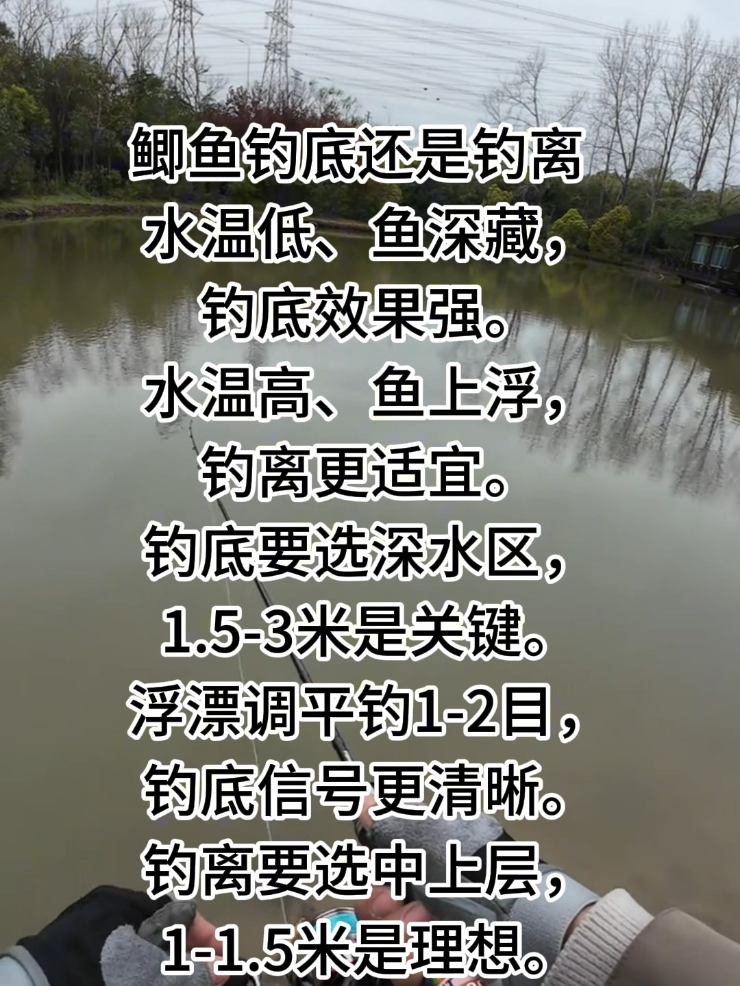 池塘底钓鲫鱼技巧(池塘底钓鲫鱼技巧和方法)