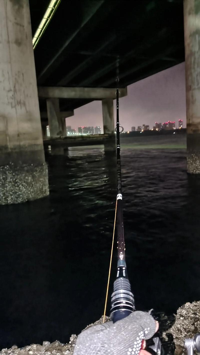 路亚夜钓(路亚夜钓用不用夜光饵)