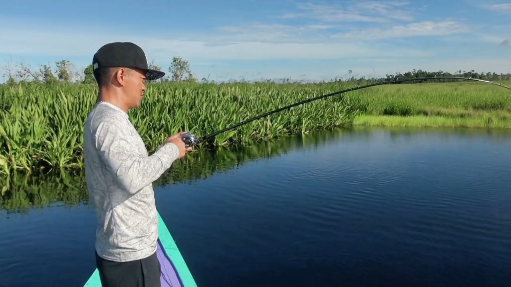 路亚多曼视频(路亚翘嘴视频大全高清)