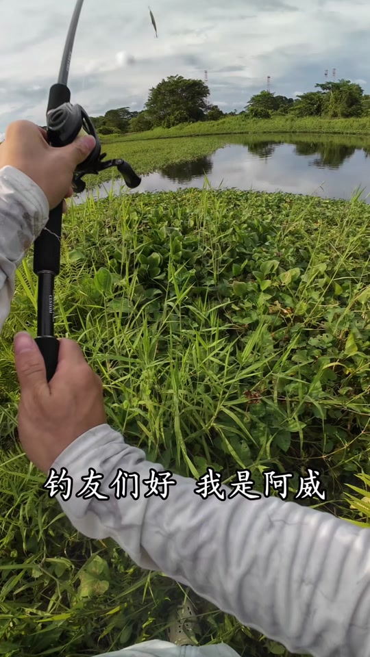 路亚多曼视频(路亚翘嘴视频大全高清)