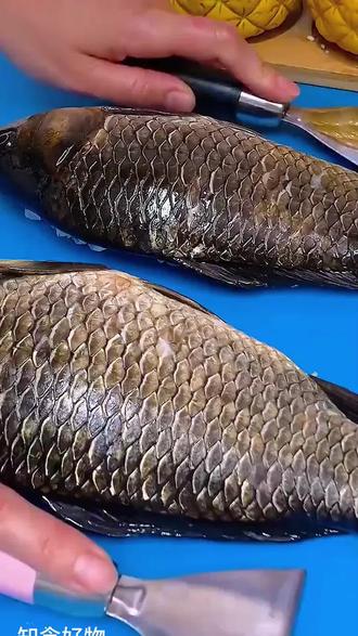 小白条去鳞技巧(小白条需要刮鳞吗)