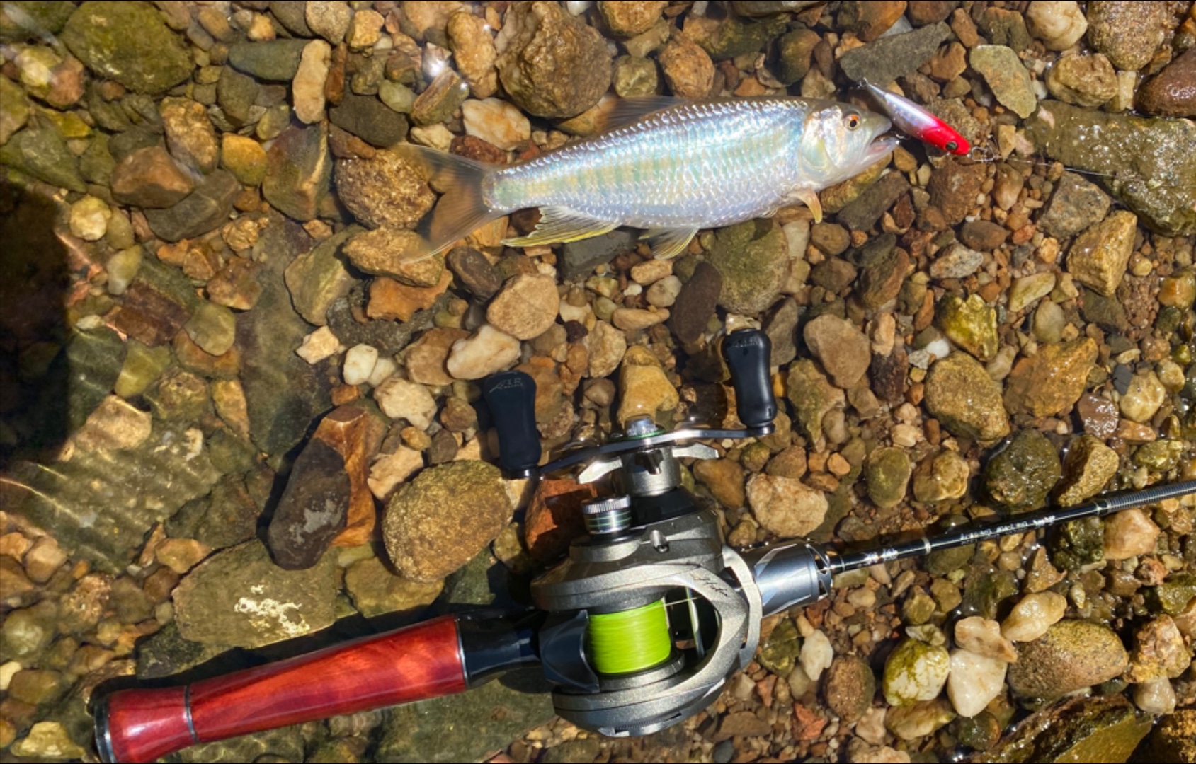 溪流路亚3(溪流路亚竿推荐)