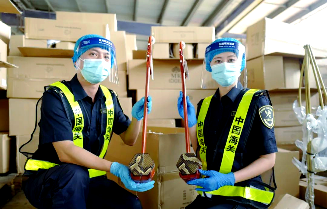 海关能带渔具吗(海关可以带动物吗)