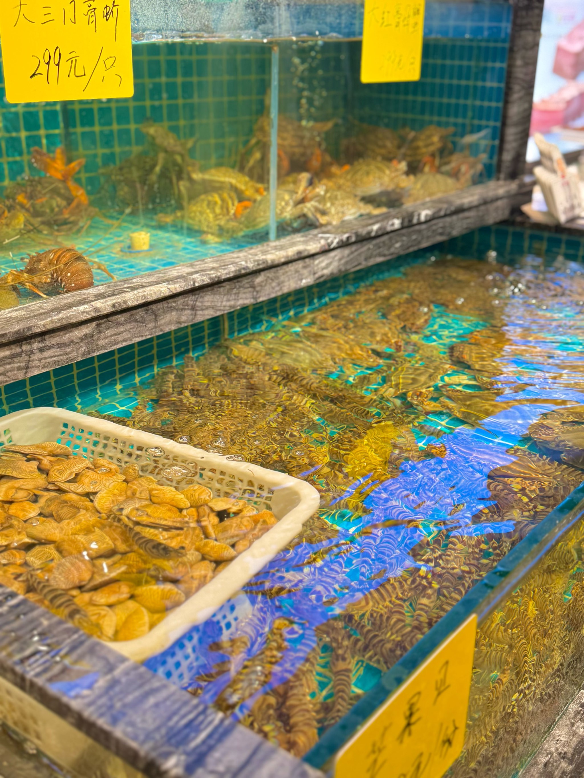 石龙渔具批发市场(批发渔具在哪里进货)