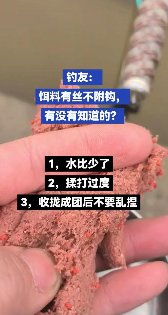 饵料反水是什么意思(饵料反水是什么意思啊)
