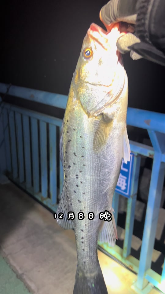 黄岛冬天海钓(黄岛冬天钓鱼的地方) 黄岛冬天海钓(黄岛冬天钓鱼的地方)