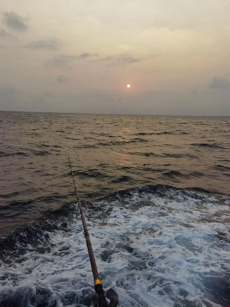 黄岛冬天海钓(黄岛冬天钓鱼的地方) 黄岛冬天海钓(黄岛冬天钓鱼的地方)