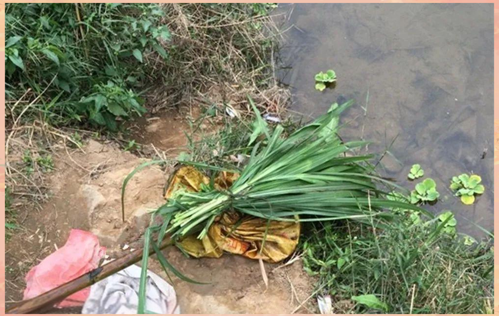 夜晚偷钓草鱼技巧(夜晚偷钓草鱼技巧和方法) 夜晚偷钓草鱼技巧(夜晚偷钓草鱼技巧和方法)