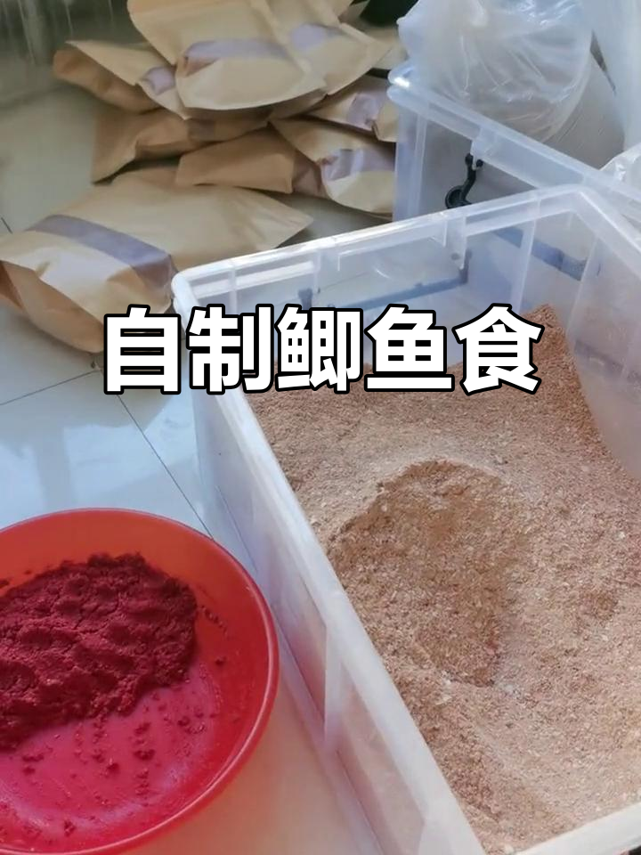 如何制作黑鱼饵料(如何制作黑鱼饵料配方)