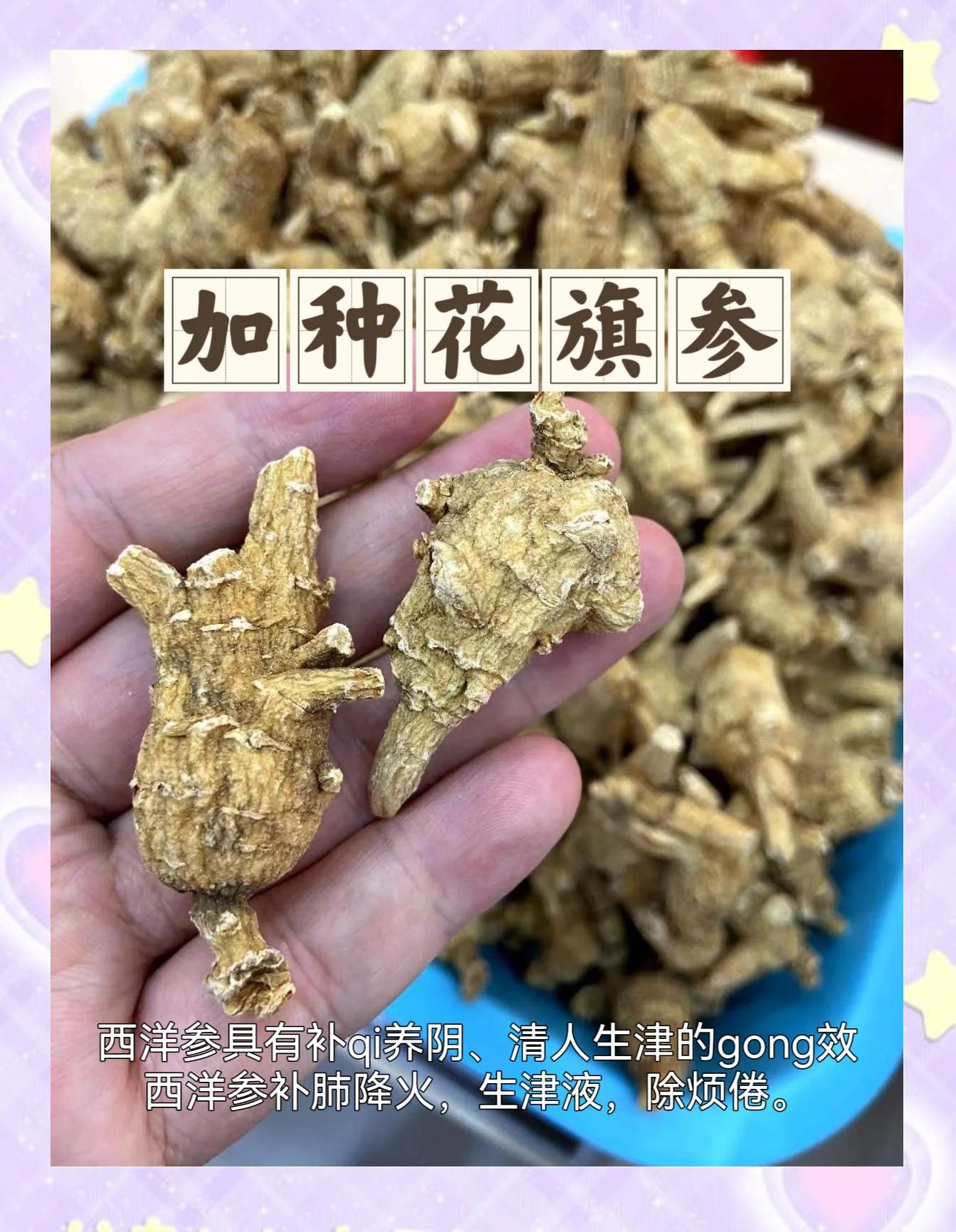 路亚花参(路亚花鱼用什么饵)