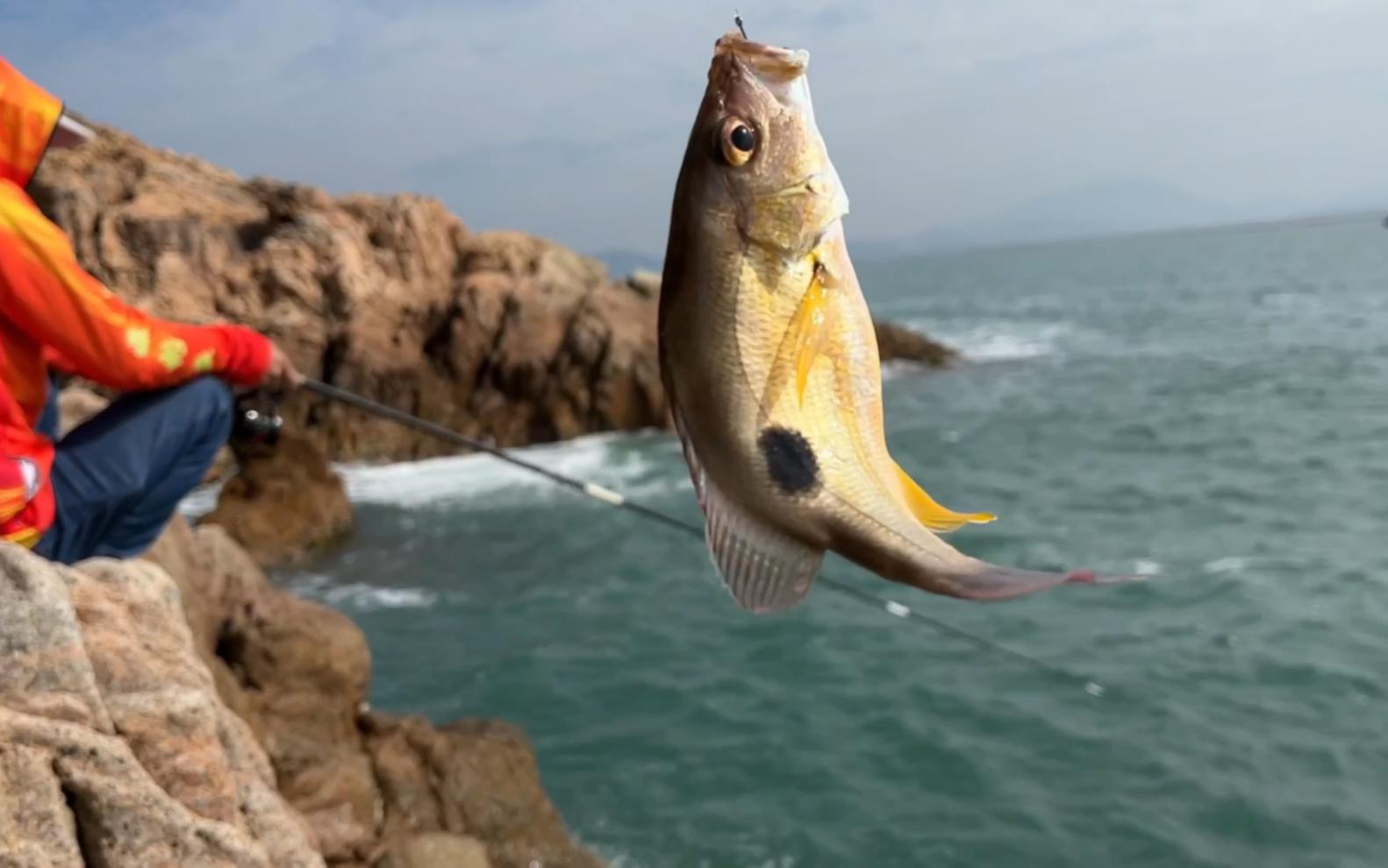 深圳海钓免费钓点(深圳哪里钓鱼免费钓海鱼)
