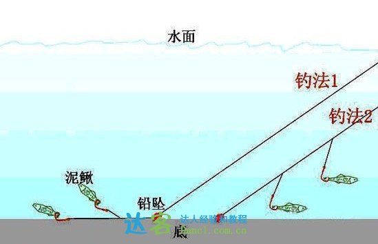 水库海杆钓鱼技巧(水库用海竿怎么钓大鱼) 水库海杆钓鱼技巧(水库用海竿怎么钓大鱼)
