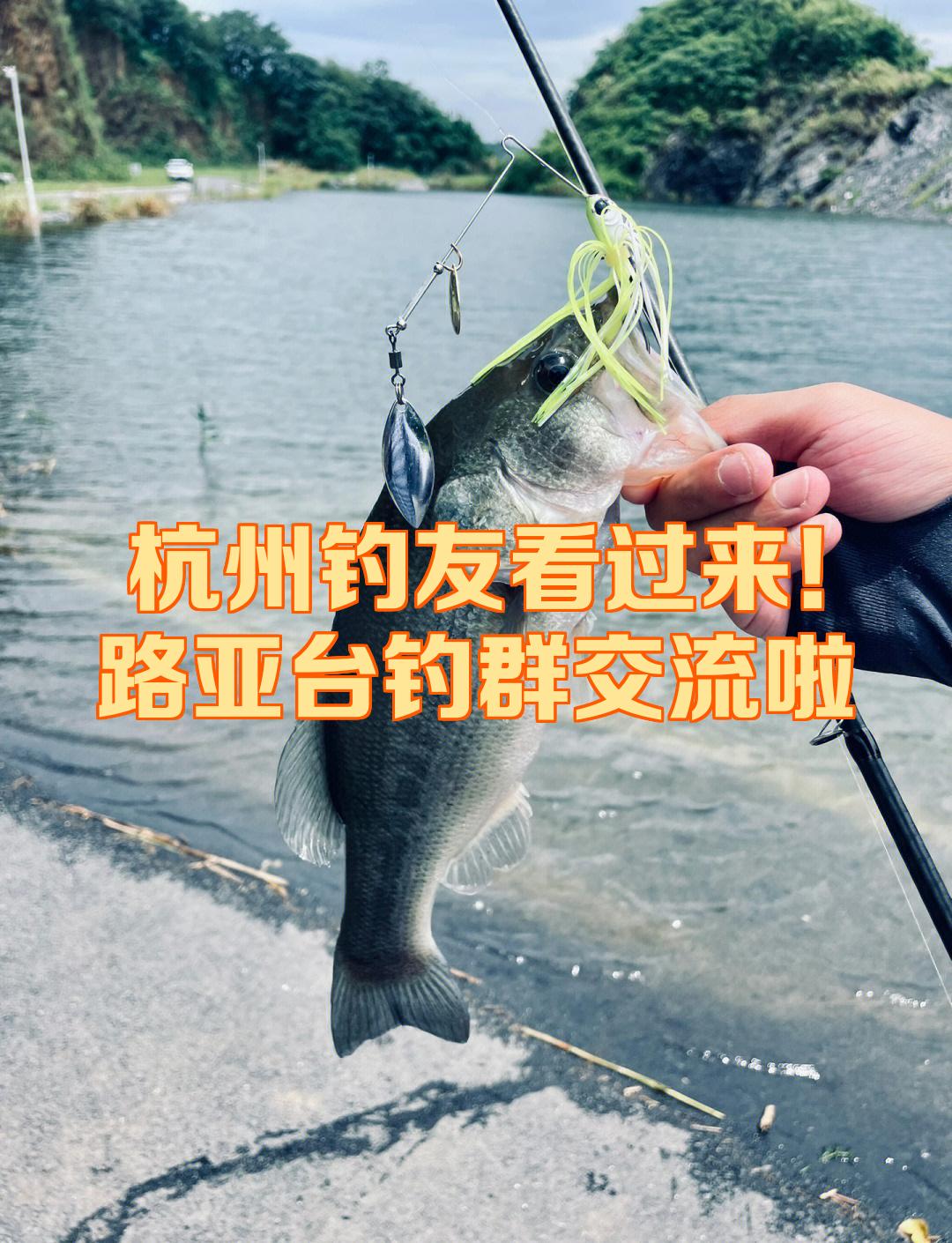 路亚还是台钓钓鱼快(路亚和台钓那个更容易钓到底大鱼)