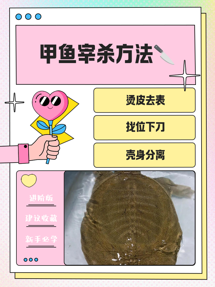 抓野生甲鱼技巧(最先进捉野生甲鱼工具)