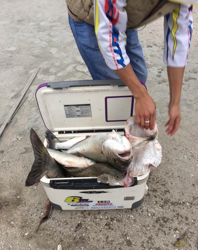 汕头市海钓(汕头出海钓鱼联系方式)