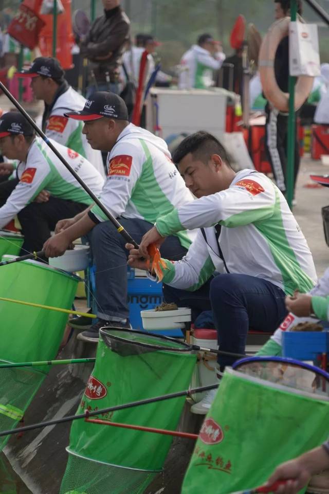 余师傅饵料集征(饵料排行榜第一名) 余师傅饵料集征(饵料排行榜第一名)