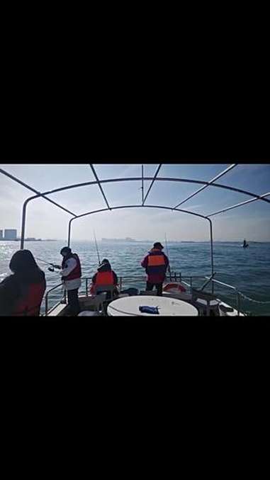 青岛远海钓鱼视频(青岛船钓海鱼视频大全)
