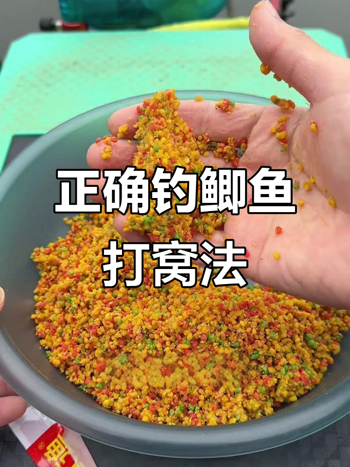 秋季水库钓鲤鱼打窝技巧(立秋后水库野钓鲤鱼怎样打窝) 秋季水库钓鲤鱼打窝技巧(立秋后水库野钓鲤鱼怎样打窝)