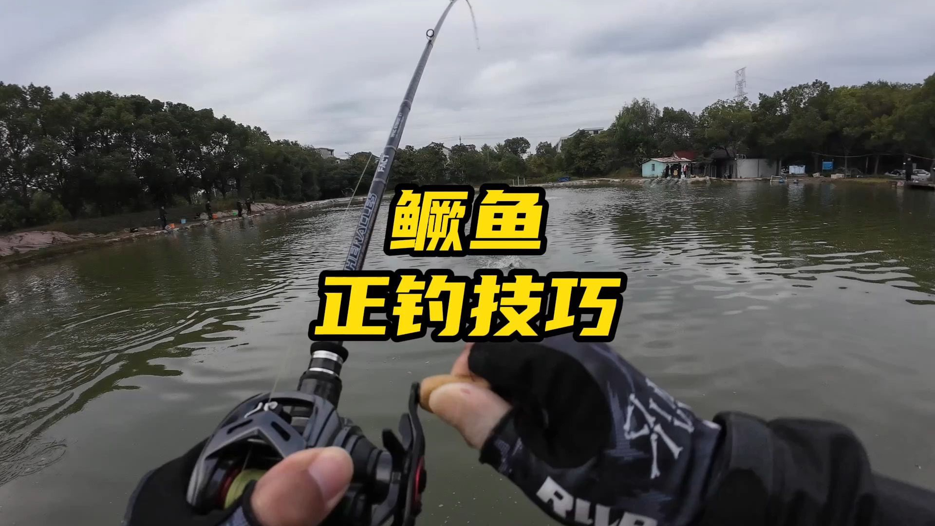 黑坑路亚上岸技巧(黑坑钓鱼技巧全攻略路亚) 黑坑路亚上岸技巧(黑坑钓鱼技巧全攻略路亚)