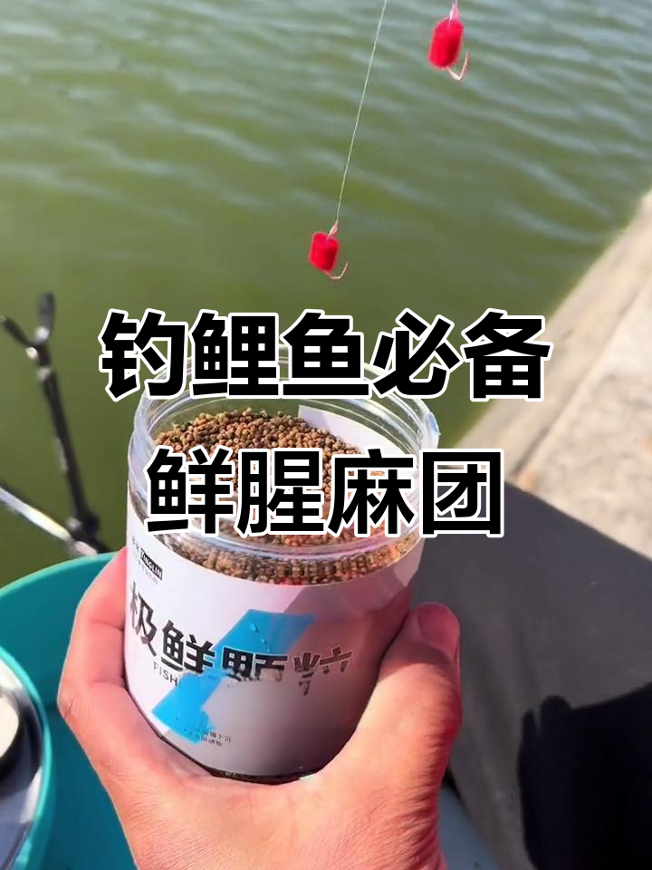 麻团钓鲤鱼技巧(麻团钓法的饵料怎么配视频)
