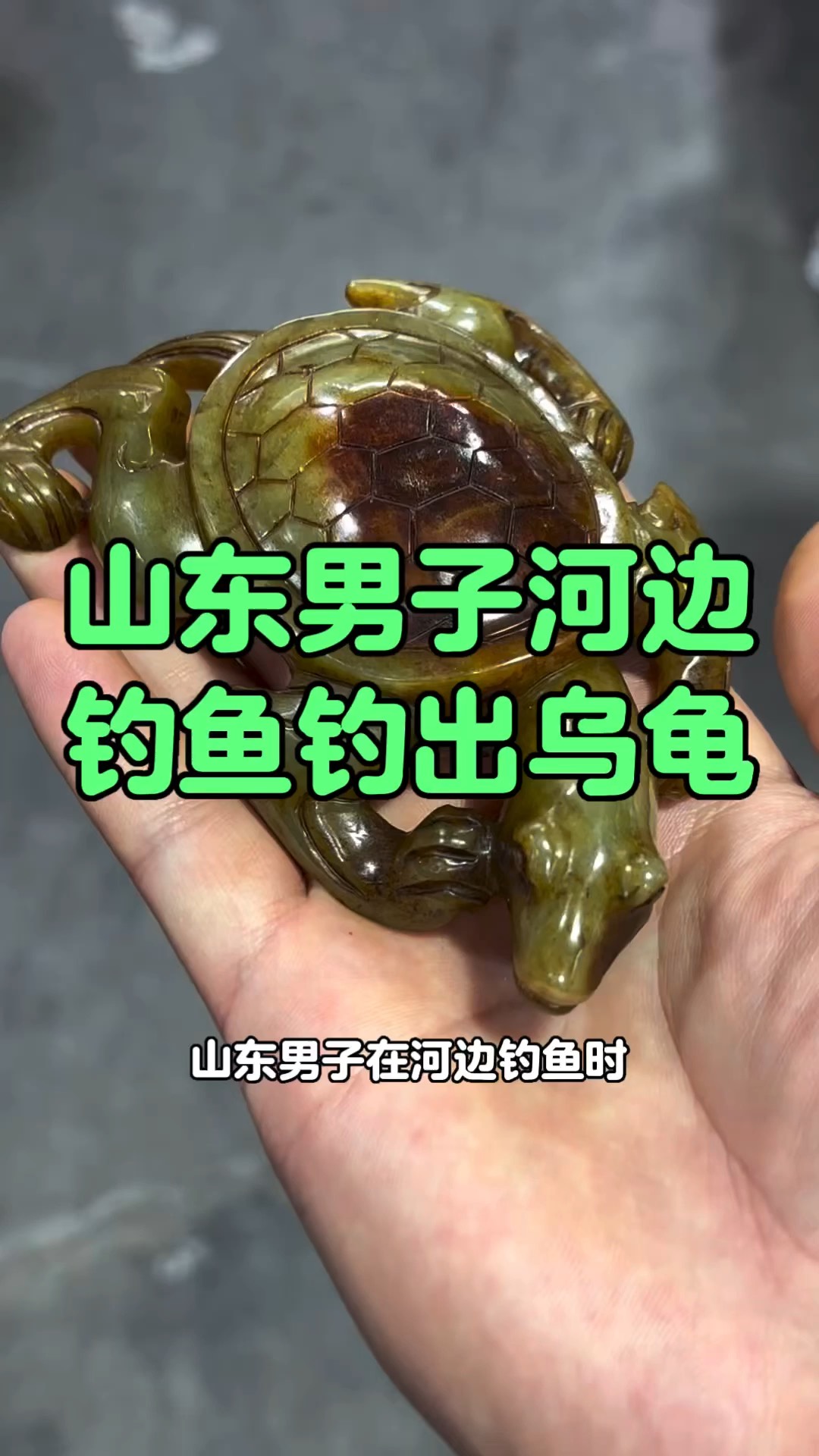 乌龟钓法技巧(乌龟钓法技巧和方法)