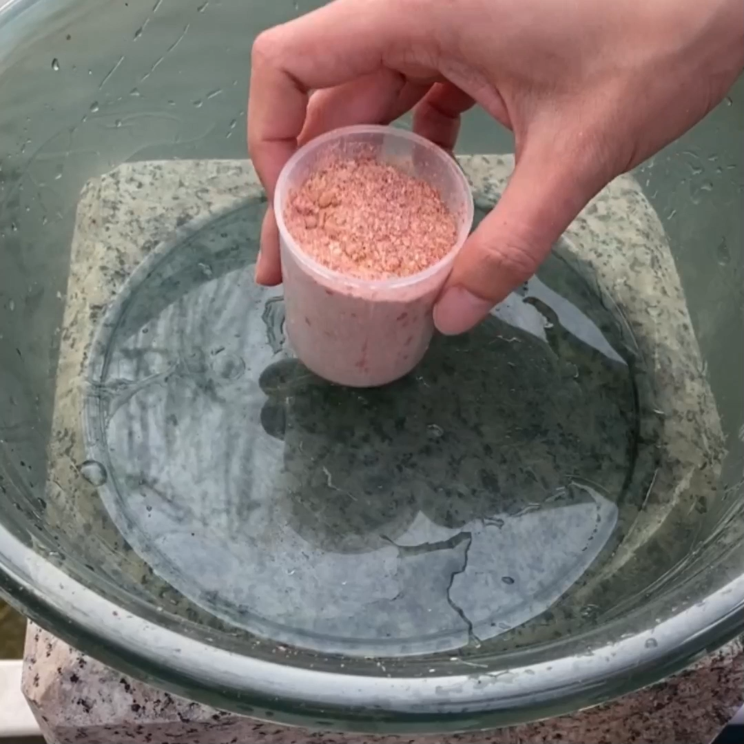 自制饵料视频(自制饵料视频全过程)