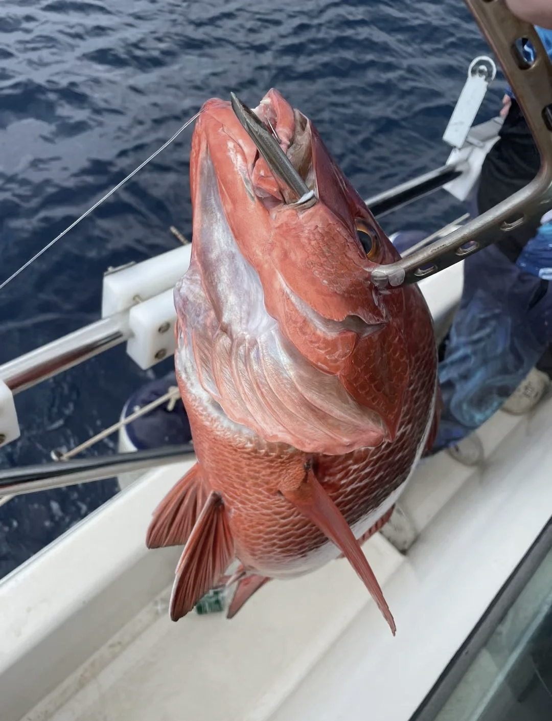 海棠湾海钓(海棠湾海钓游艇码头在哪里)