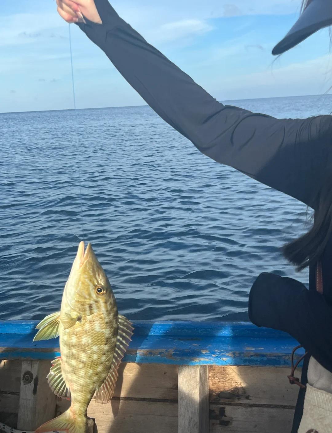 东海大桥海钓(东海大桥钓鱼地方)