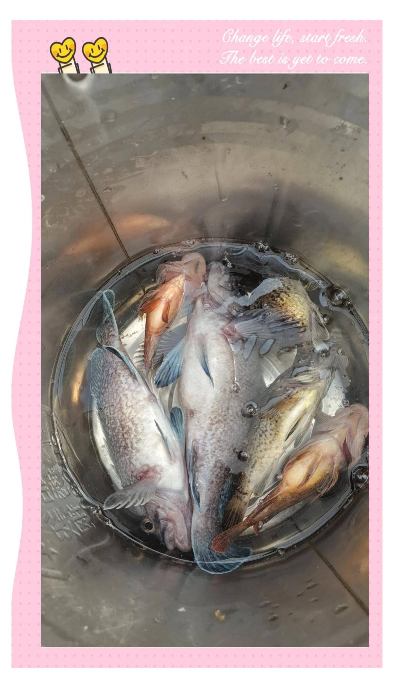 威海海钓(威海海钓最佳时间)