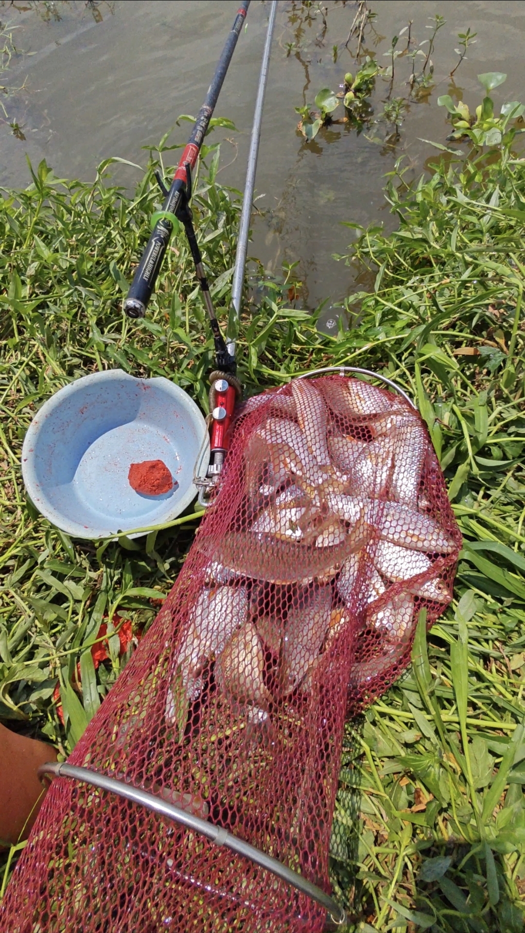 海钓鲻鱼钓底还是钓浮(海钓鲻鱼用什么饵最好钓)