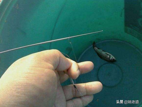 用小鱼鳅冲钓技巧(小鱼鳅怎么炒才好吃)