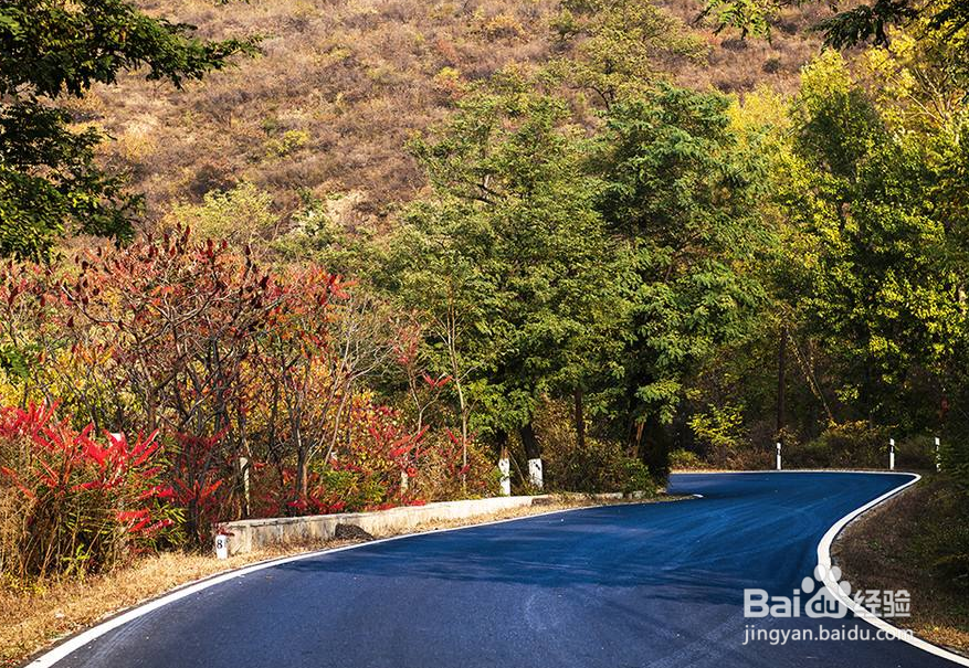 绥中啥时候可以海钓(绥中啥时候可以海钓啊)