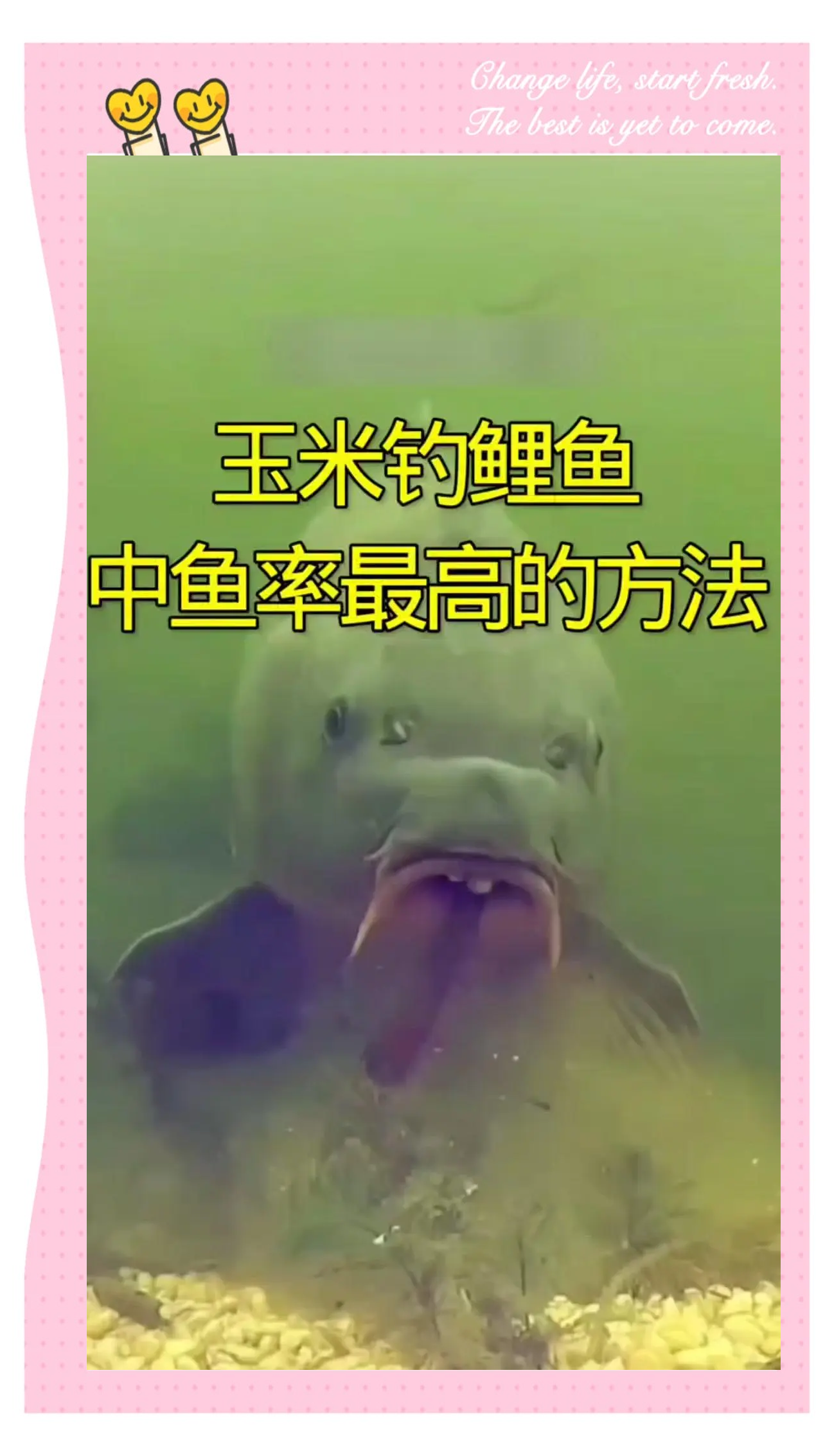 中午用玉米钓鱼技巧(中午用玉米钓鱼技巧图解)