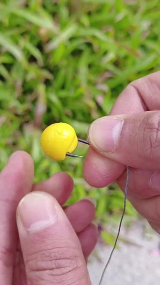 快乐垂钓饵料(快乐垂钓饵料有哪些) 快乐垂钓饵料(快乐垂钓饵料有哪些)