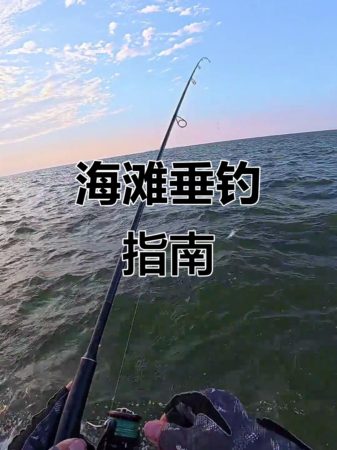 沙滩钓最佳饵料(沙滩钓最佳饵料有哪些)