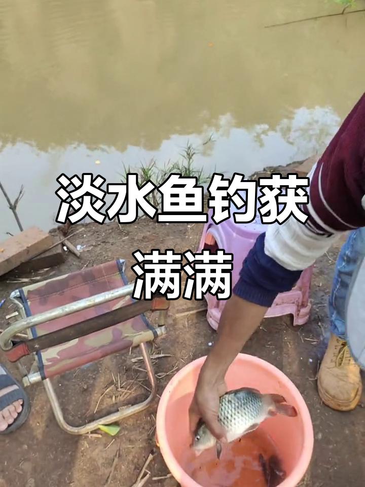 淡水海钓钓鱼(用淡水鱼钓海里鱼)