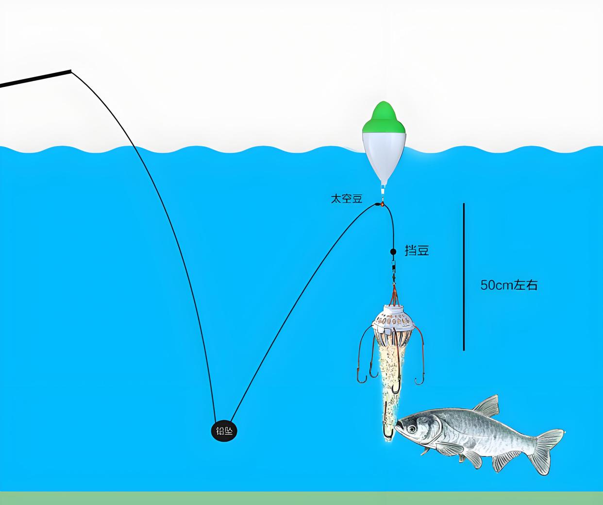海竿钓鲢鳙技巧视频(海竿鲢鳙怎么钓 视频教学)