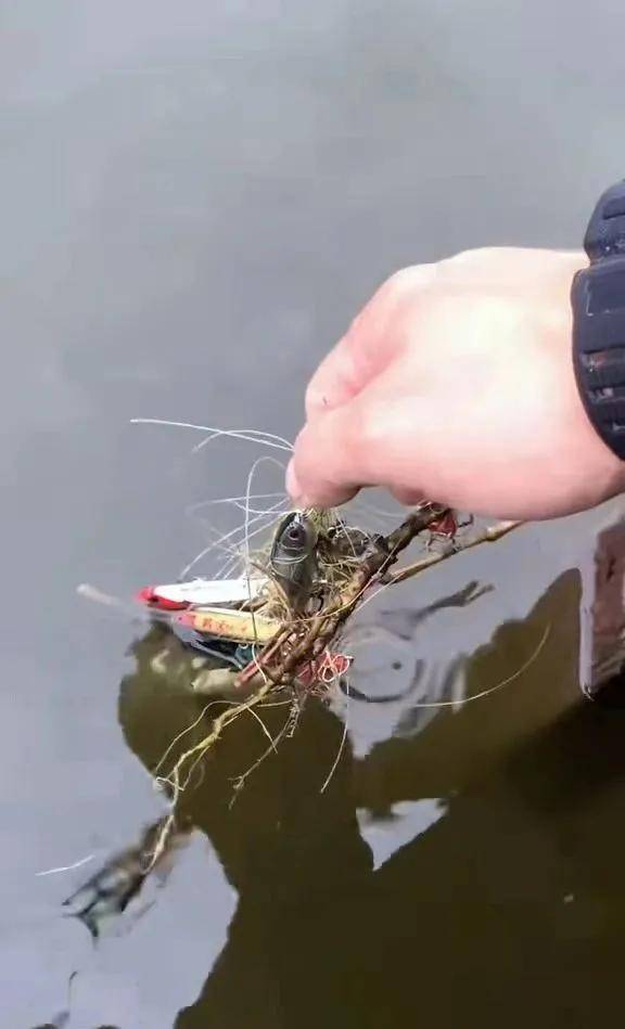 赣江路亚钓(赣江路亚标点)