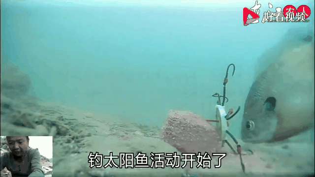 射水下鱼的技巧(射水下鱼的技巧视频)