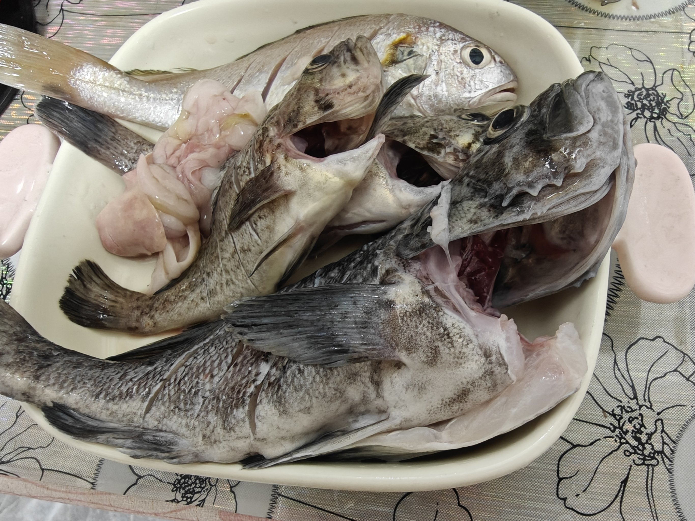 大连几月开始海钓(大连海钓什么时间最适合) 大连几月开始海钓(大连海钓什么时间最适合)